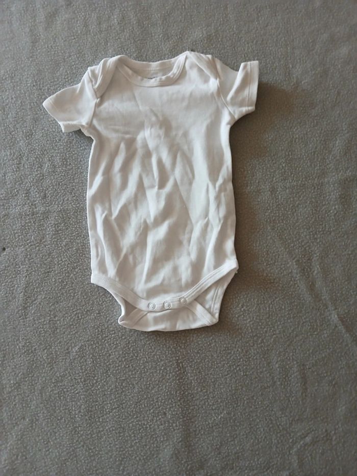 Lot bodies été 9 mois - photo numéro 2