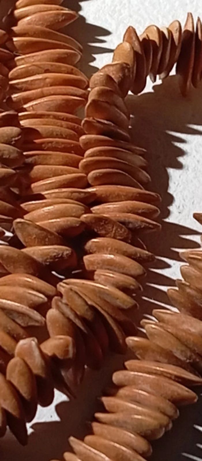 Collier sautoir en graines de citrouille - photo numéro 7