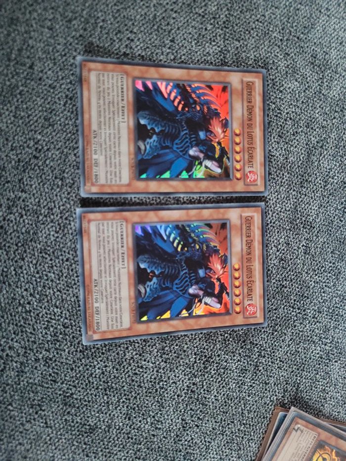 2 cartes guerrier démon du lotus écarlate