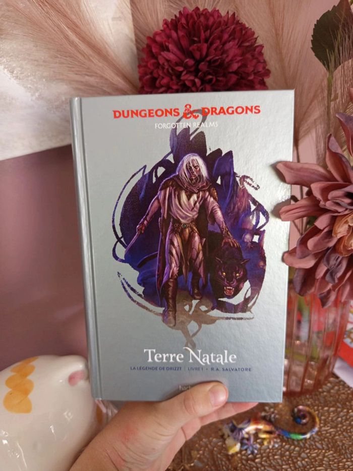 Terre Natale Dungeons & dragons