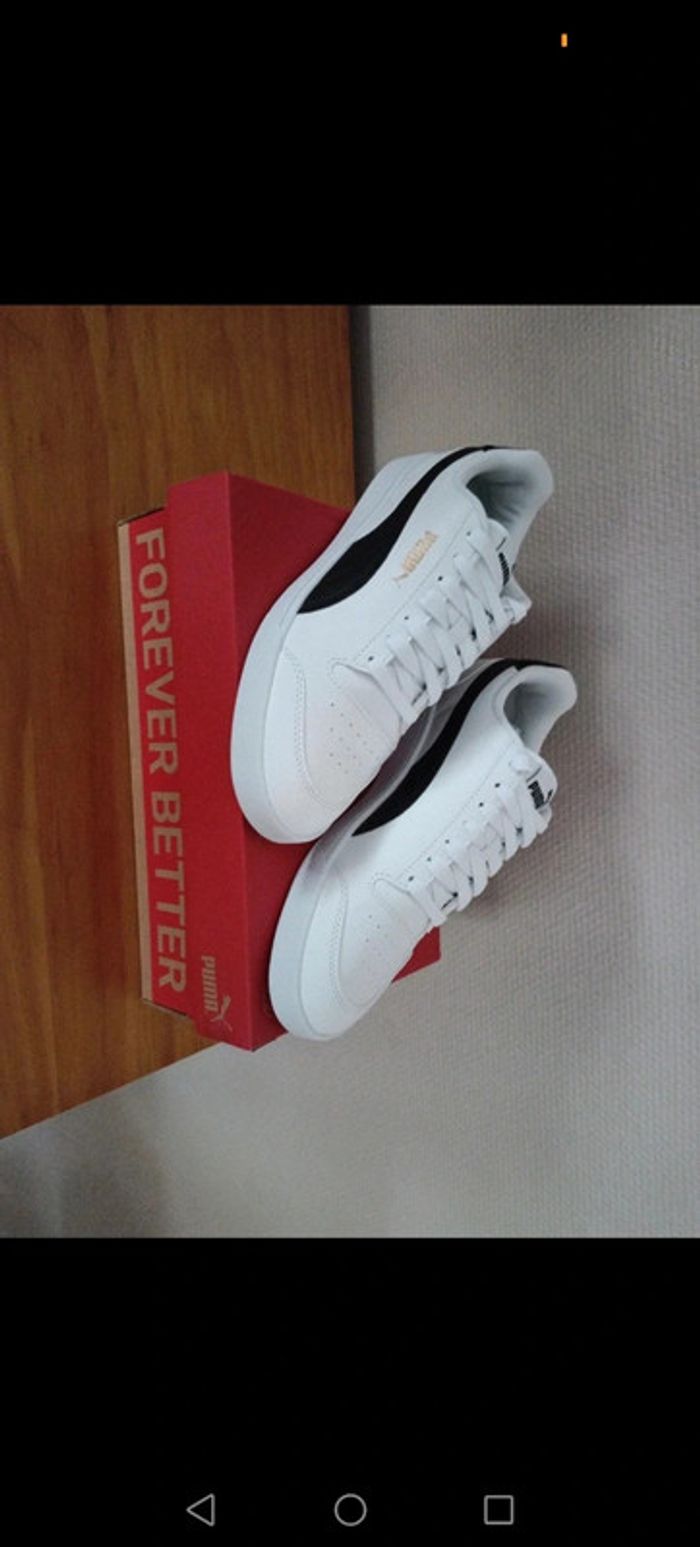Puma basket taille 39