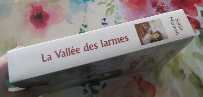 La Vallée des larmes de Sonia Marmen Ed. Le Grand Livre du Mois - photo numéro 4