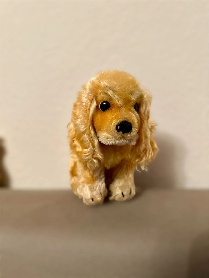 Cocker Espagnol Steiff