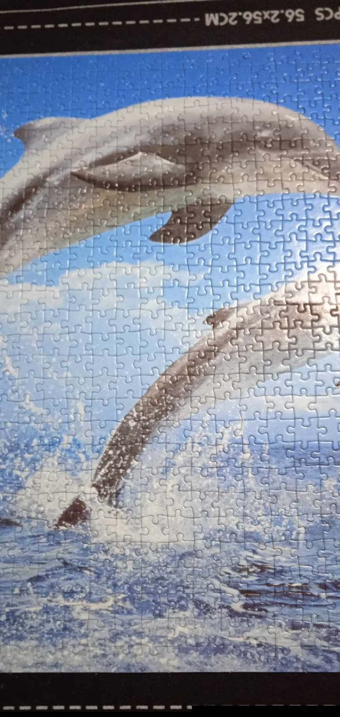 Puzzle Dauphins 🐬 - photo numéro 4
