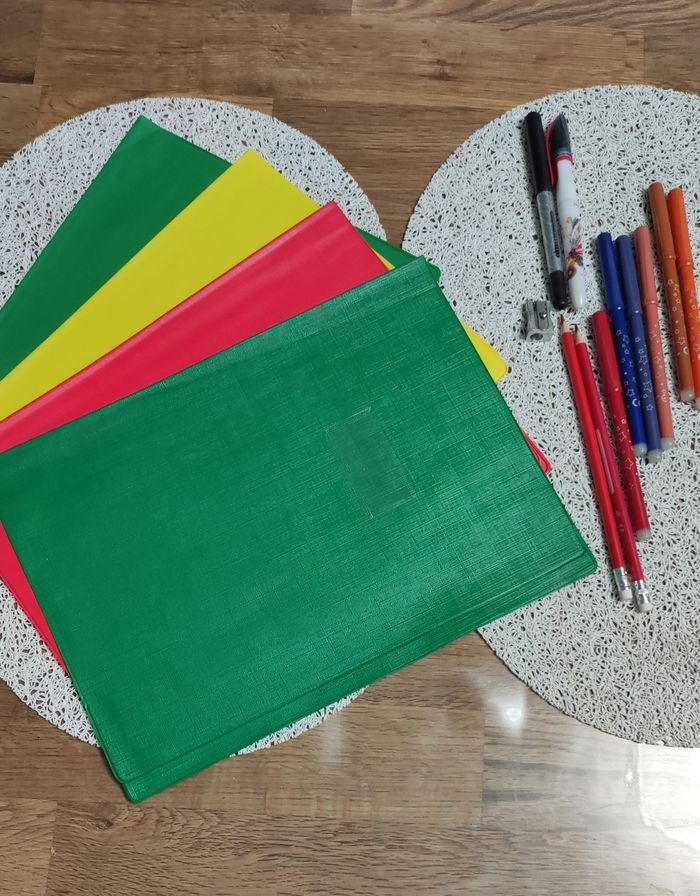 Lot Grand protège cahier A4 - photo numéro 2