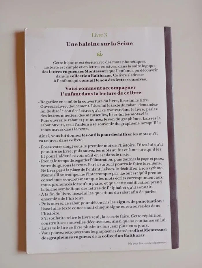 Une baleine sur la Seine - Montessori - photo numéro 2