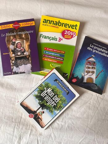 Livres lot de 4 (Molière, brevet de français, ect.)