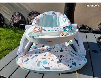 Siège bébé fisher price