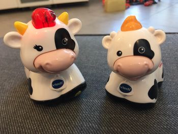Vache Mil’ tache et son petit Milo