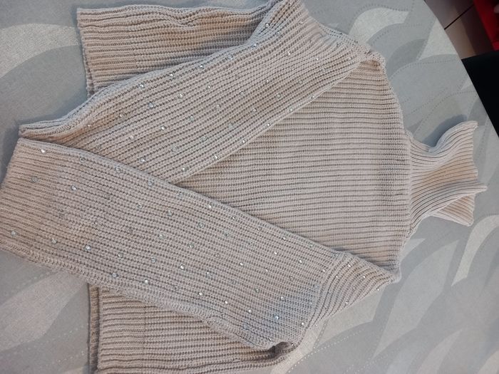 Gros sous pull - photo numéro 3