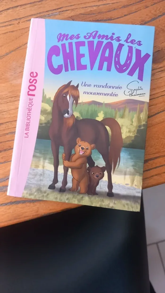 Livre mes amis les chevaux 6/8ans