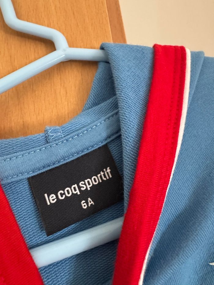 Swear à capuche ( le coq sportif) - photo numéro 2