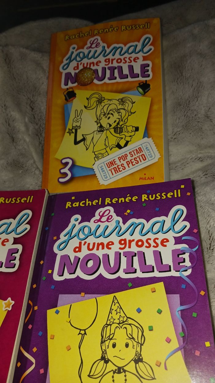 3 livres. Le journal d'une grosse nouille. - photo numéro 4