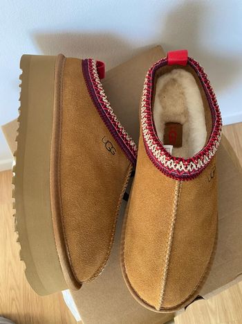 Ugg Tazz