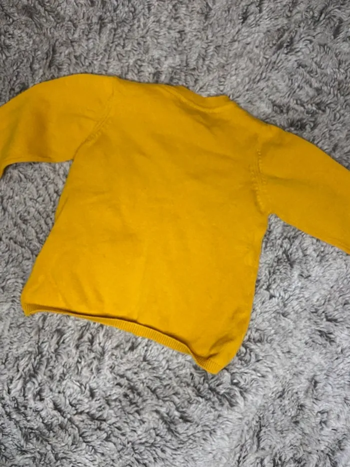 Gillet 9 mois fille - photo numéro 4