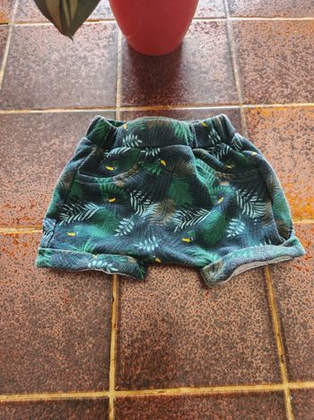 Short mixte perroquet