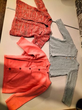 Lot 3 gilets 9 mois.