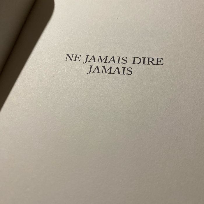 Livre The lying game 2 ne jamais vivre jamais Sara Shepard - photo numéro 4