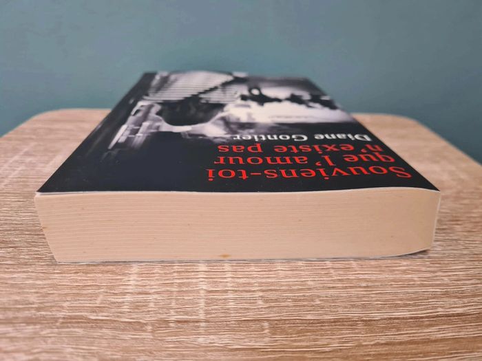 Souviens toi que l'amour n'existe pas -format broché - photo numéro 4