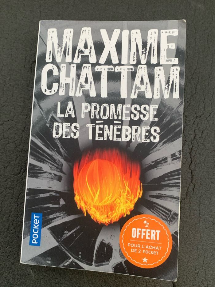 Triller - photo numéro 5