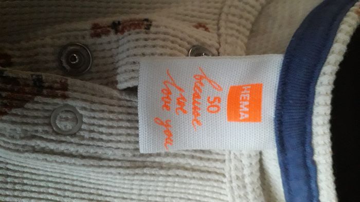 Combi short - photo numéro 2