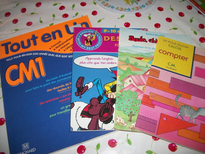 tout savoir sur le CM1