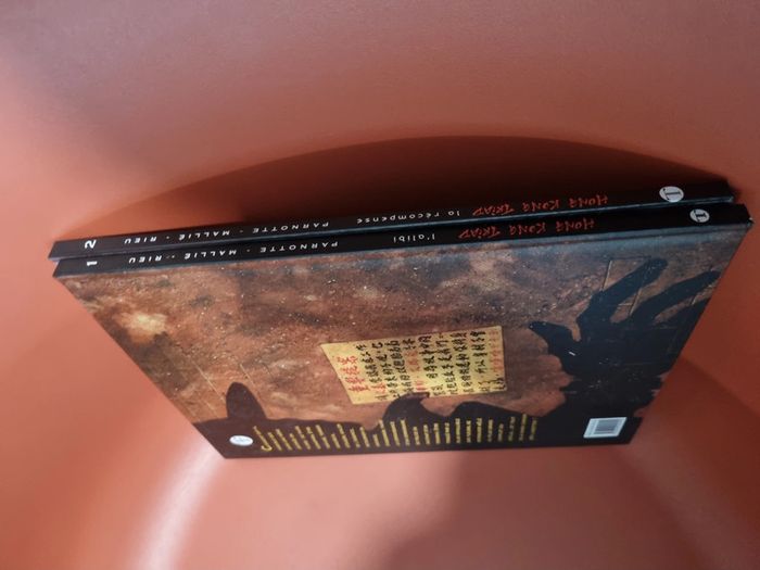 lot de deux BD policier Hong Kong Triad Notte Mallié Rieu - photo numéro 3