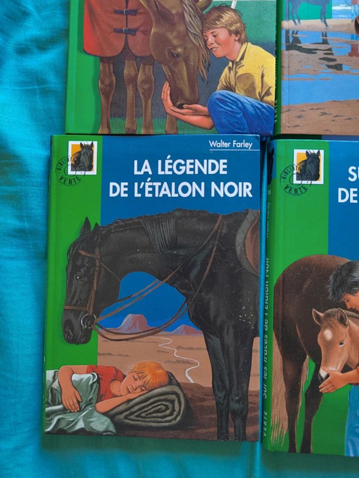 Lot de 7 livres l'étalon noir - photo numéro 8