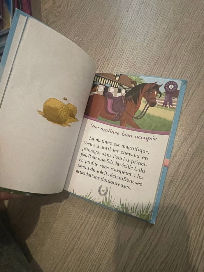 Livre Mes Amis les Chevaux - photo numéro 3