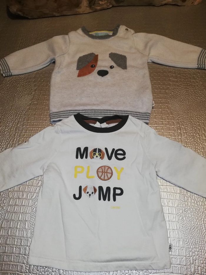 Tee shirt et pull chien