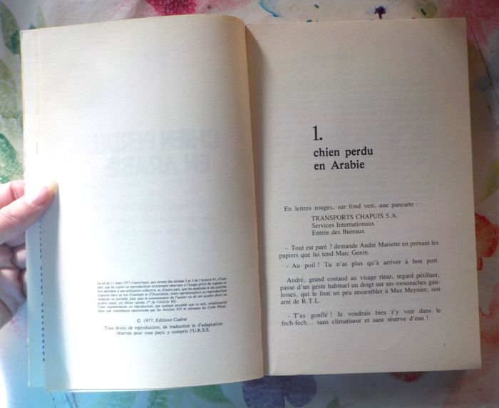 CHIEN PERDU EN ARABIE par G. MARTINEAU Ed. Cadrat - photo numéro 5