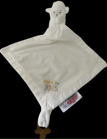 ❤️B4891 Doudou plat Mouchoir Mouton Agneau Blanc Born In 2025 Primark