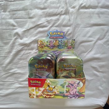 display de mini tins évolutions prismatiques