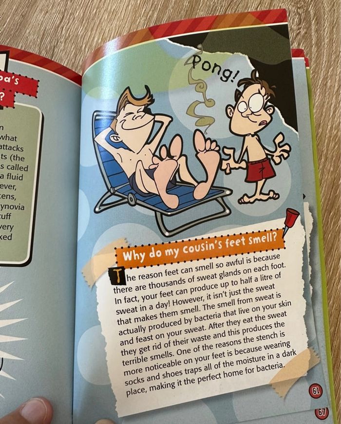 Livre en anglais So Gross - photo numéro 3