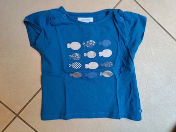 T shirt 12 poissons