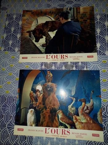 Photos Cinéma L'Ours