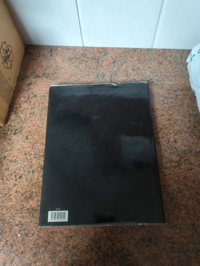 Livre ''la bible et ses peintres - photo numéro 3