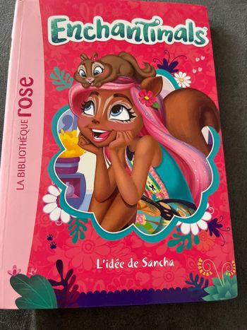 Livre bibliothèque rose enchantimals tome 6