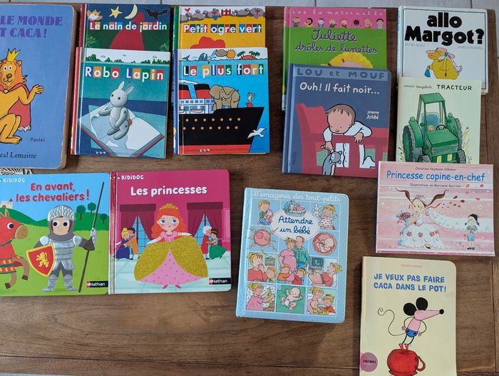 Lot livres - photo numéro 5