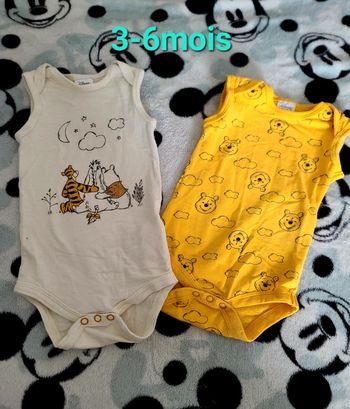 Body winnie x2