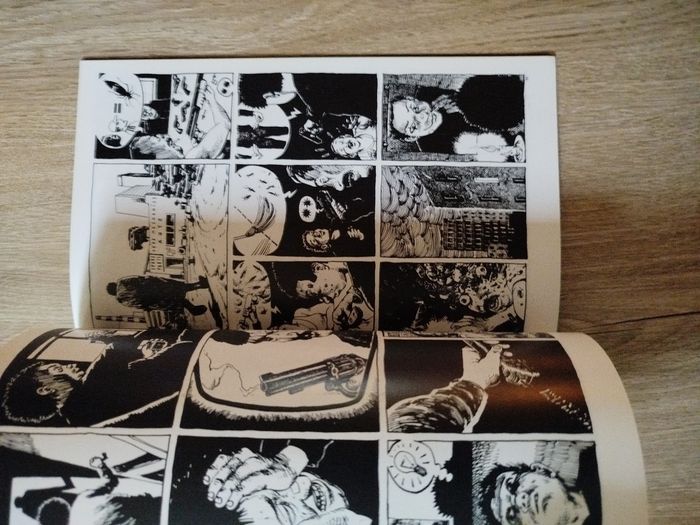 The French Crow - photo numéro 4