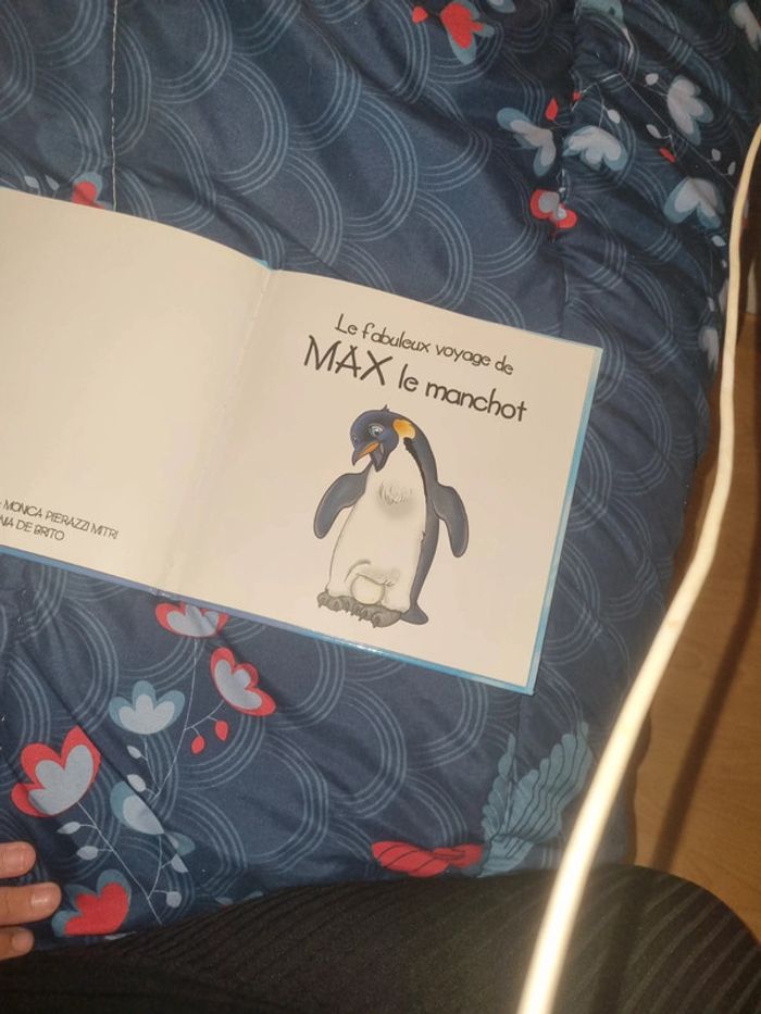 Max le manchot - photo numéro 5