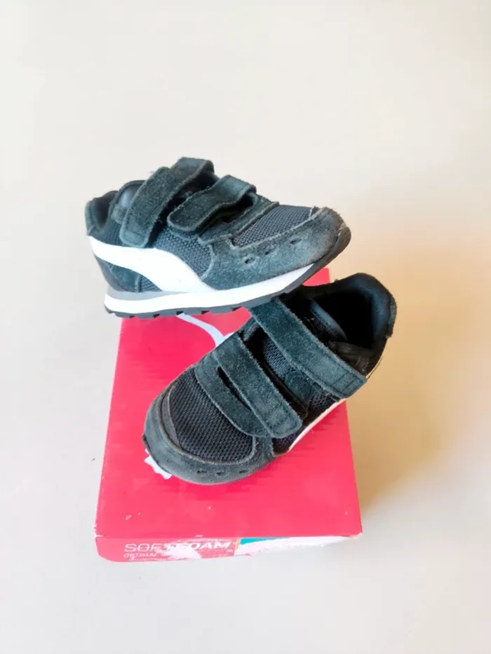 Basket puma
