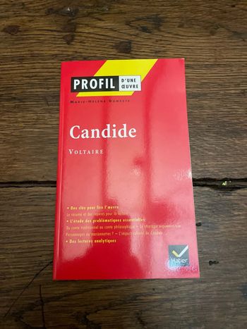 Candide voltaire - Profil d’une œuvre