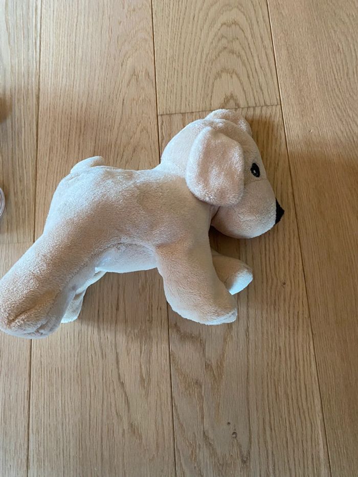Peluche labrador - photo numéro 2