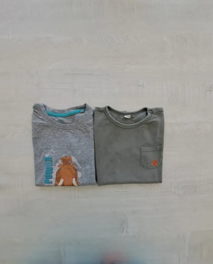 Lot de 2 T-shirts - taille 110-116cm - Age de glace - Zeeman - coton