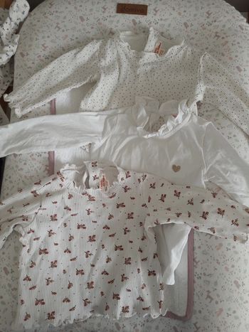 Lot 3 Tee-shirts manches longues 9 mois