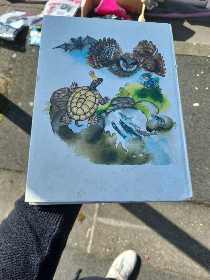 Livre - photo numéro 2