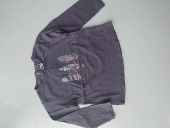 Tshirt manches longues 23 mois TAO