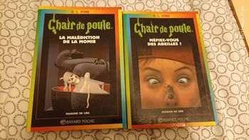 Livres Chair de Poule 2€ l'unité